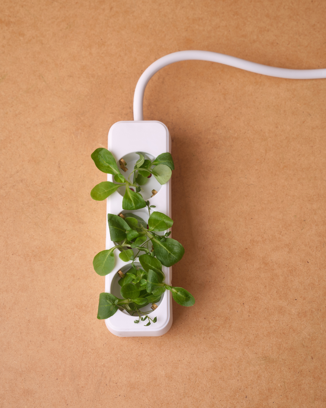 SUSTAINABLE SWAPS