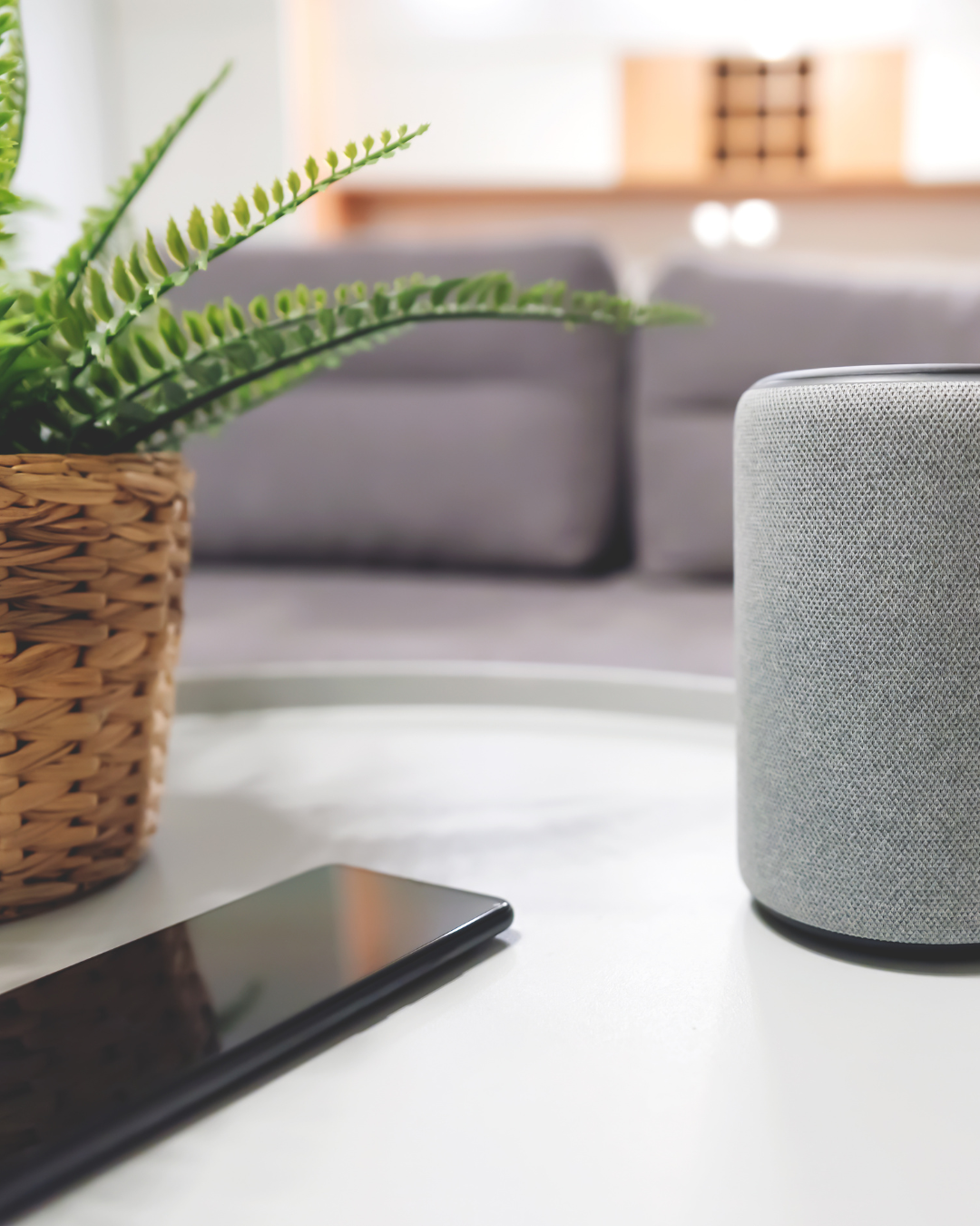 SMART LIVING