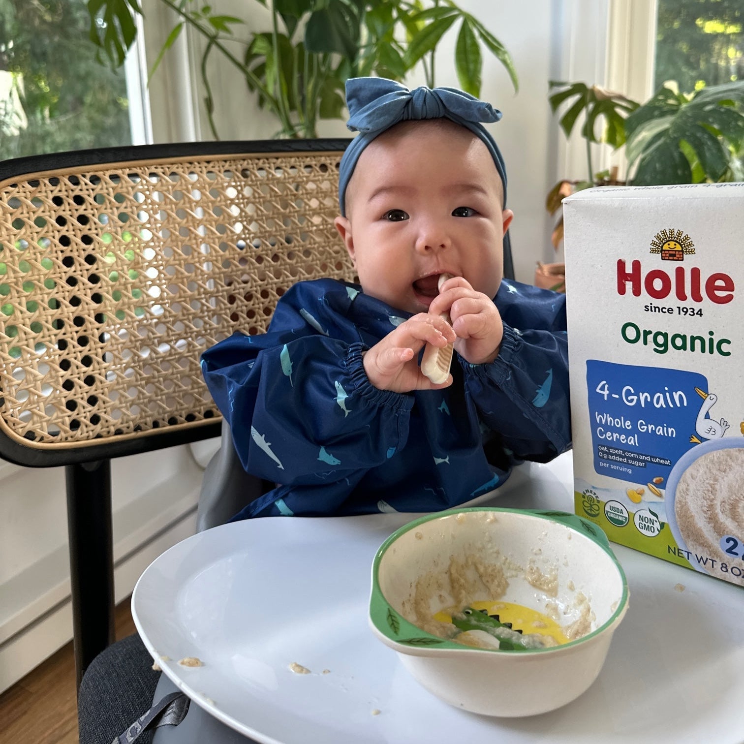 Holle Organic Whole Grain 4-Grain Cereal - 6 Pack