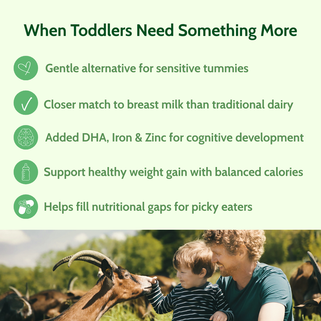 Holle Goat Milk Toddler Drink 6-Tin Bundle