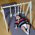 Baby Play Gym & Hanging Toys