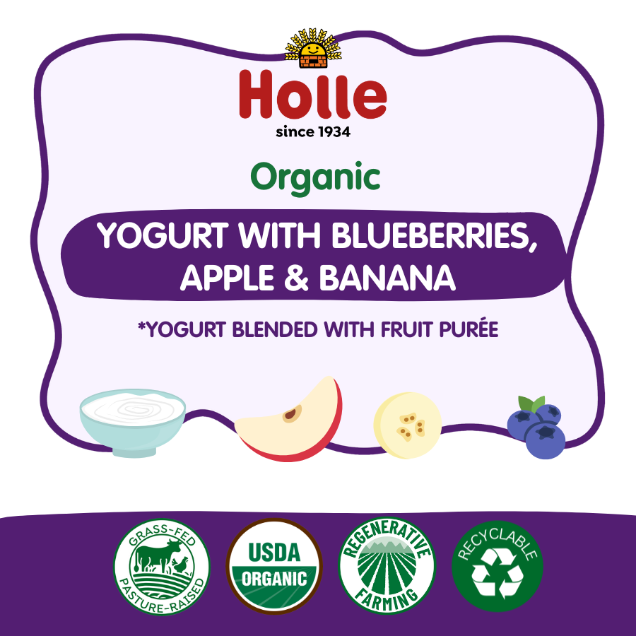 Holle Organic Blueberries, Apple & Banana Yogurt Pouches