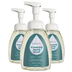 Foaming Hand Soap