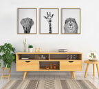 Sylvie Elephant Giraffe and Lion Framed Canvas by Simon Te of Tai Prints