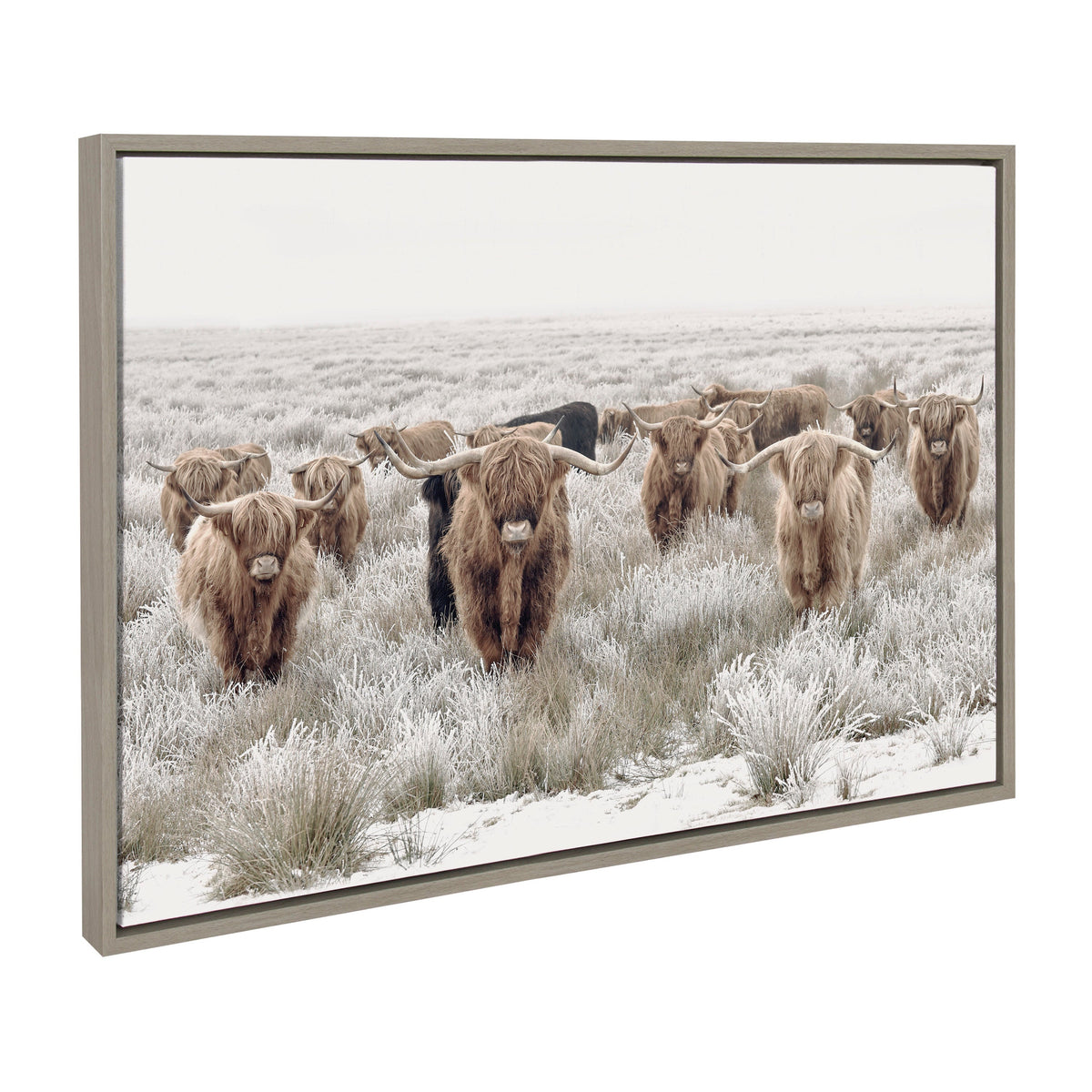 Sylvie Texas Longhorn, Highland Cow Portrait Close Color and Herd of Highland Cows Color Framed Canvas Art Set by The Creative Bunch Studio