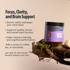 Organic Lion’s Mane Mushroom Powder
