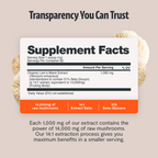 Organic Lion’s Mane Mushroom Powder