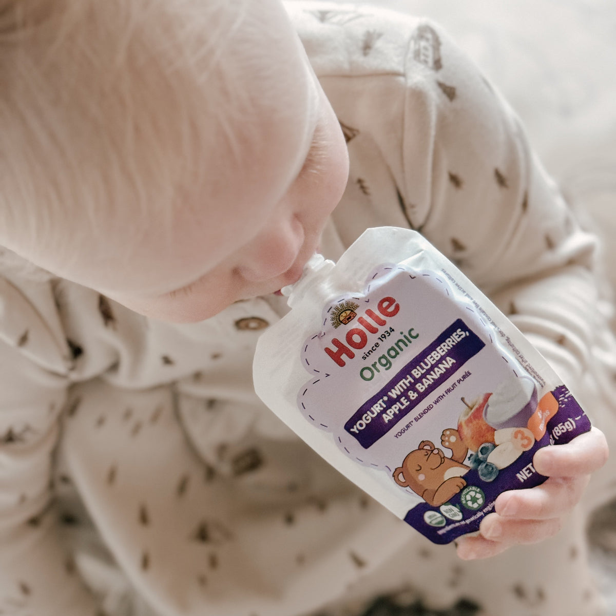 Holle Organic Blueberries, Apple & Banana Yogurt Pouches