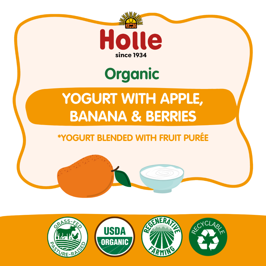 Holle Organic Mango Yogurt Pouches