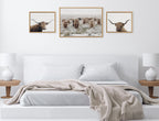 Sylvie Texas Longhorn, Highland Cow Portrait Close Color and Herd of Highland Cows Color Framed Canvas Art Set by The Creative Bunch Studio