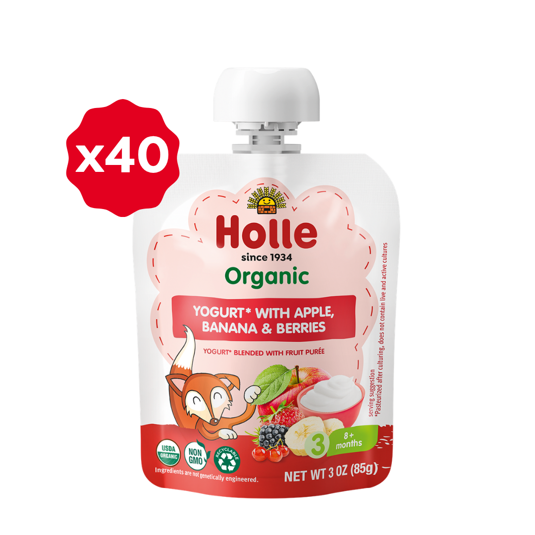 Holle Organic Apple, Banana & Berries Yogurt Pouches