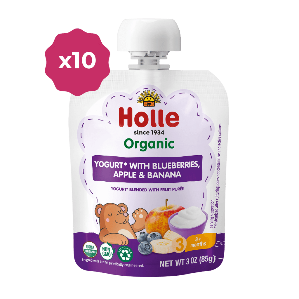 Holle Organic Blueberries, Apple & Banana Yogurt Pouches