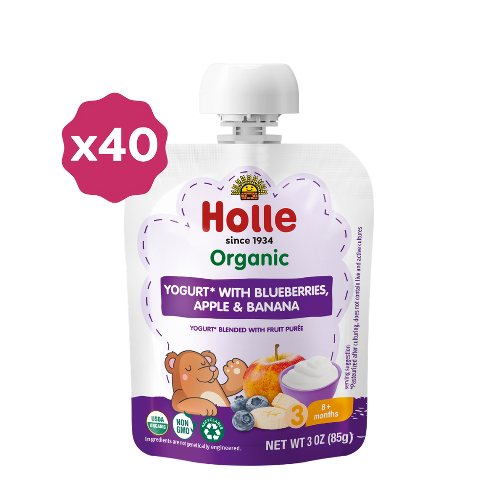 Holle Organic Blueberries, Apple & Banana Yogurt Pouches