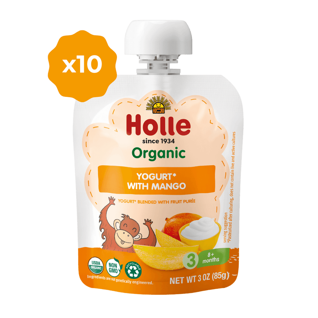 Holle Organic Mango Yogurt Pouches