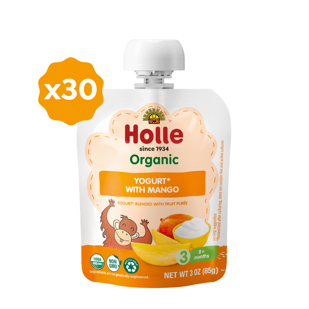 Holle Organic Mango Yogurt Pouches