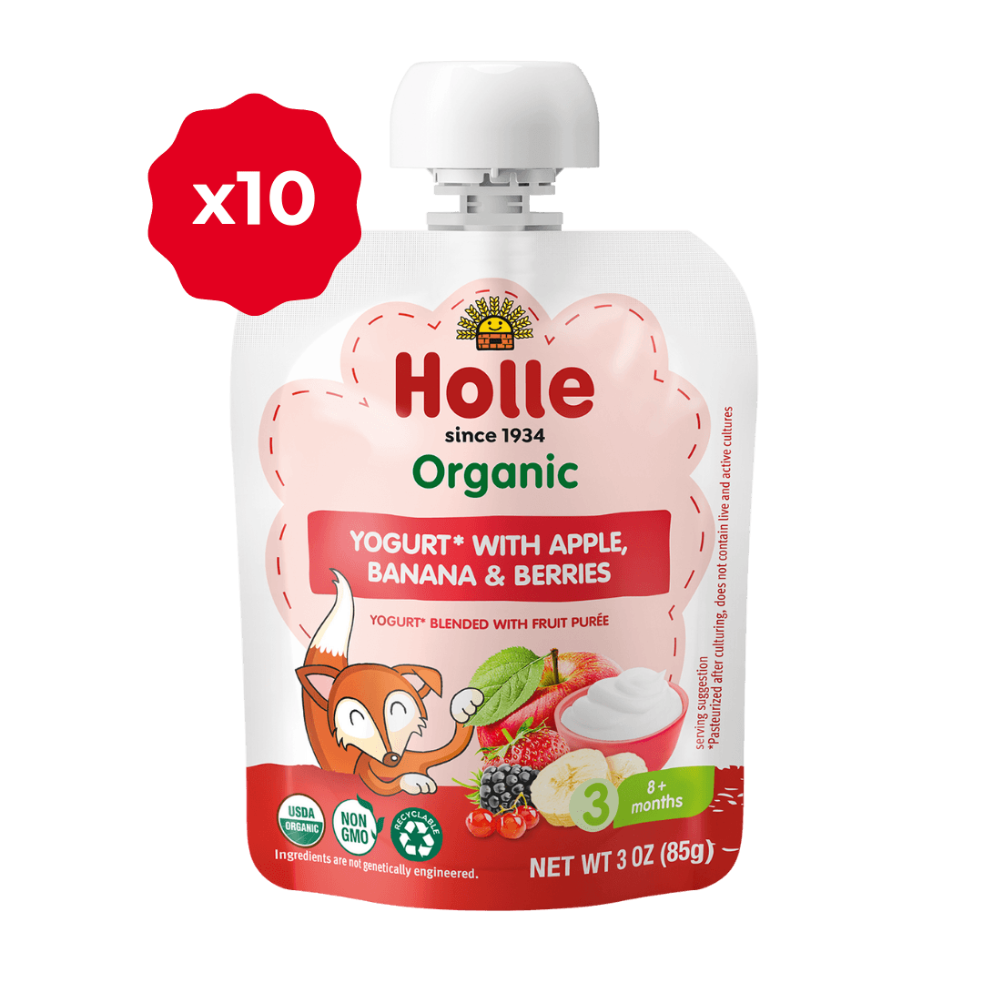 Holle Organic Apple, Banana & Berries Yogurt Pouches