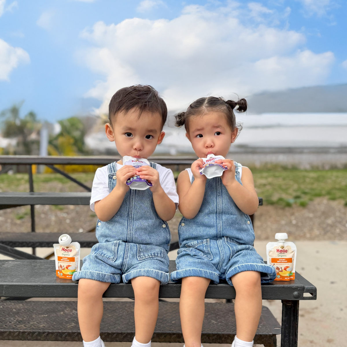 Holle Organic Mango Yogurt Pouches